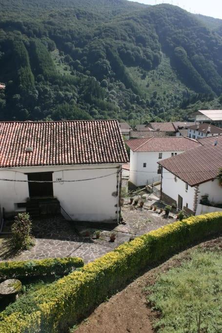 Appartement Gartzinea, Amplia Y Preciosa Vivienda Rural à Ezkurra Extérieur photo