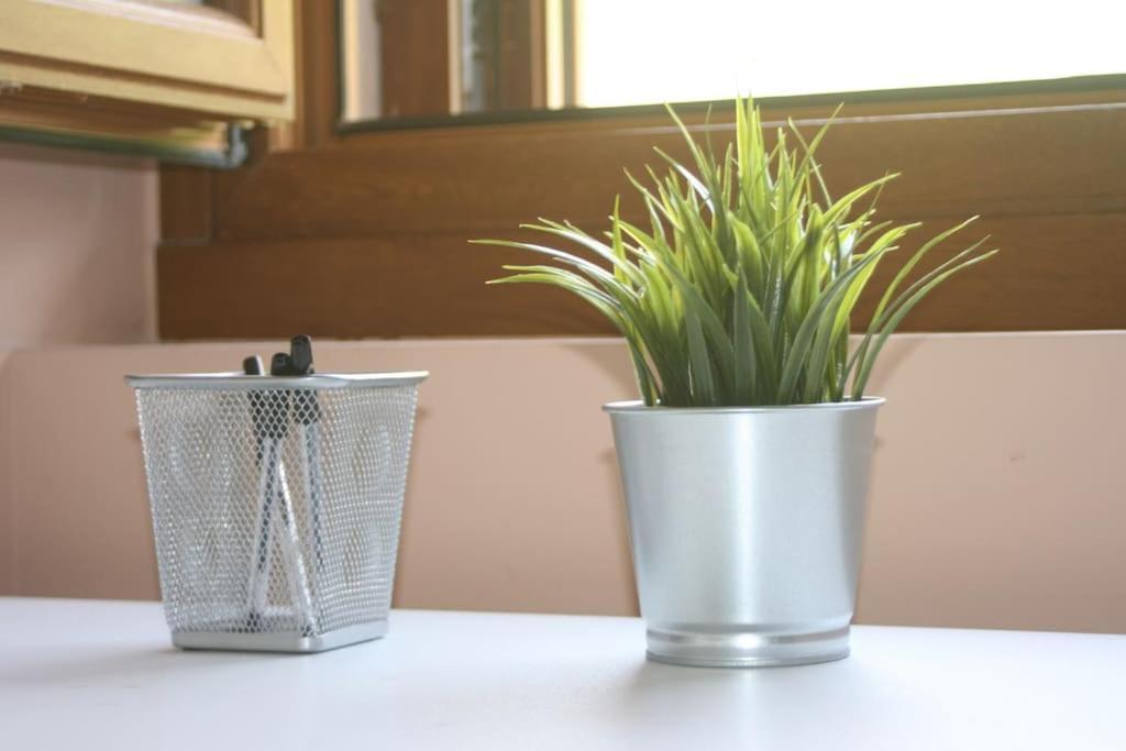 Appartement Gartzinea, Amplia Y Preciosa Vivienda Rural à Ezkurra Extérieur photo