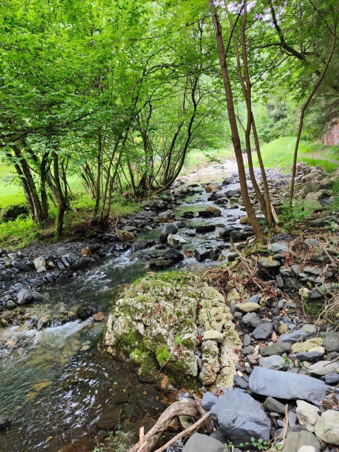 Appartement Gartzinea, Amplia Y Preciosa Vivienda Rural à Ezkurra Extérieur photo